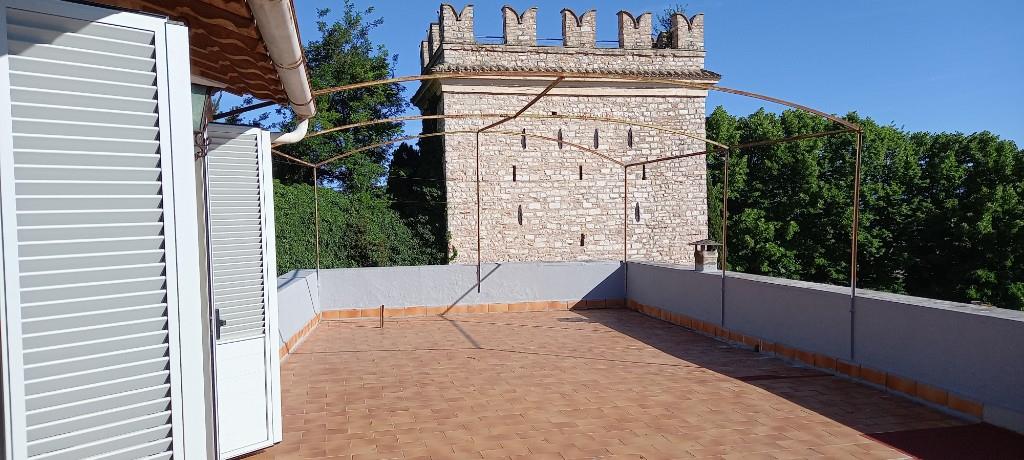 immagine annuncio 4 di 7