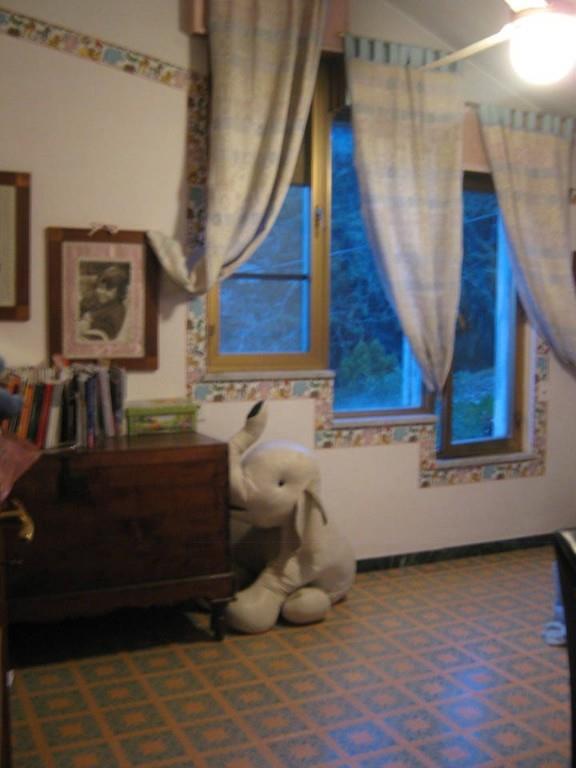 immagine annuncio 2 di 7