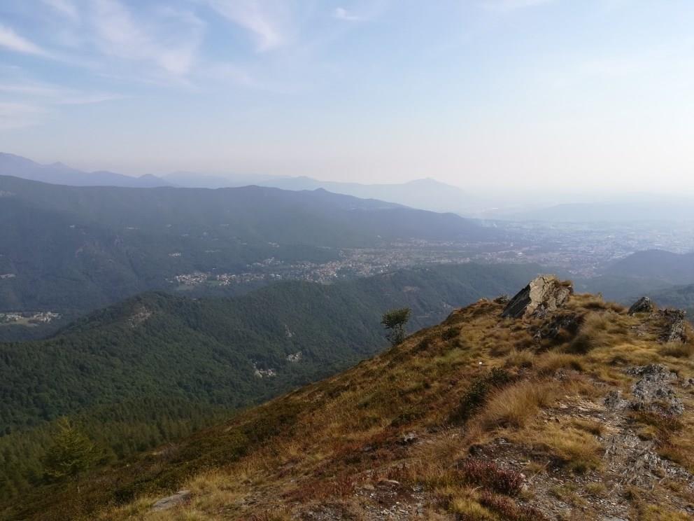 immagine annuncio 6 di 7