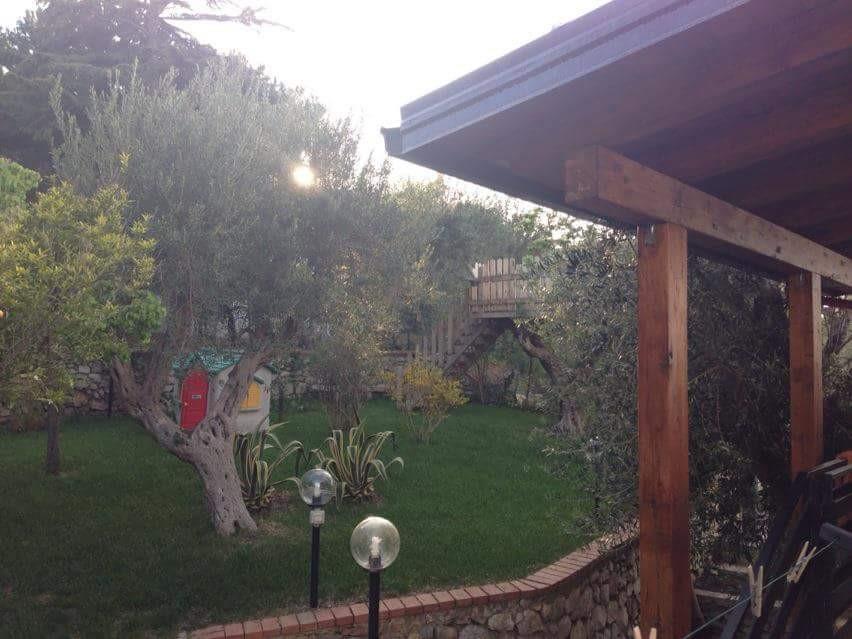 immagine annuncio 1 di 7