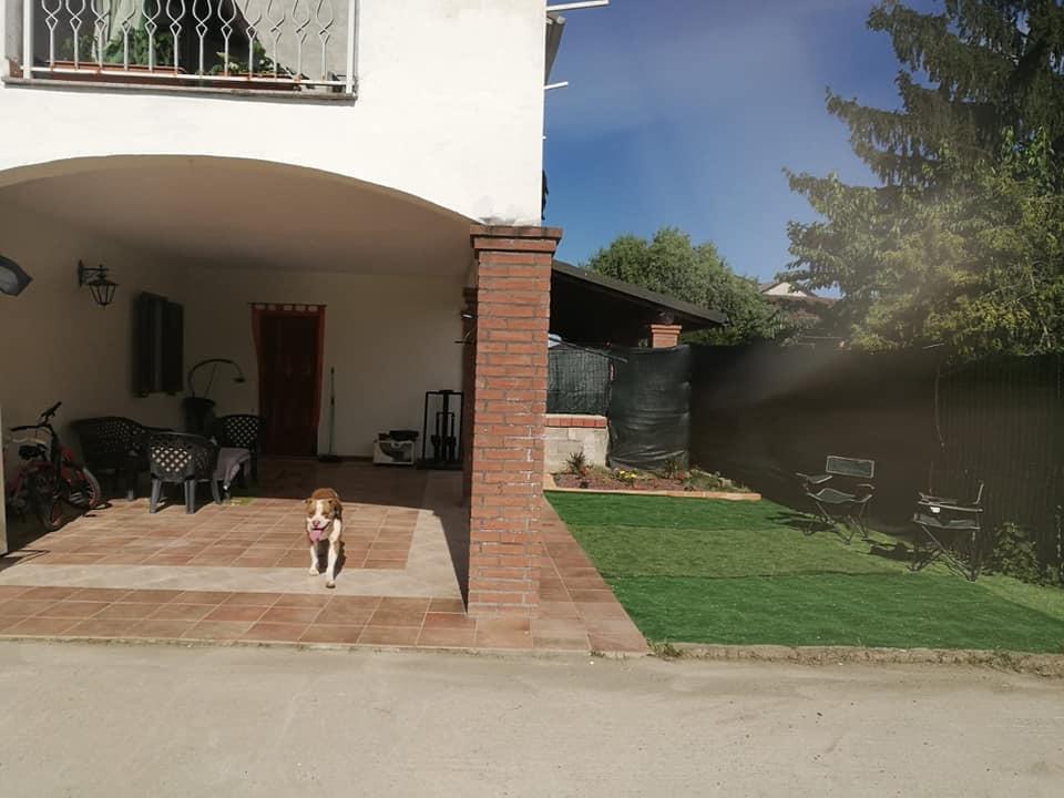 immagine annuncio 4 di 7
