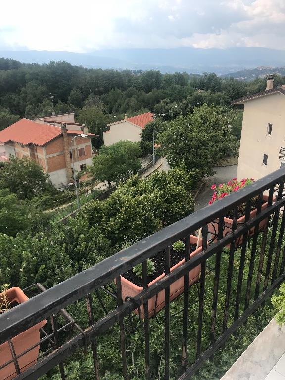 immagine annuncio 4 di 6
