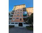 Foto - Appartamento in Vendita a Milano - Greco