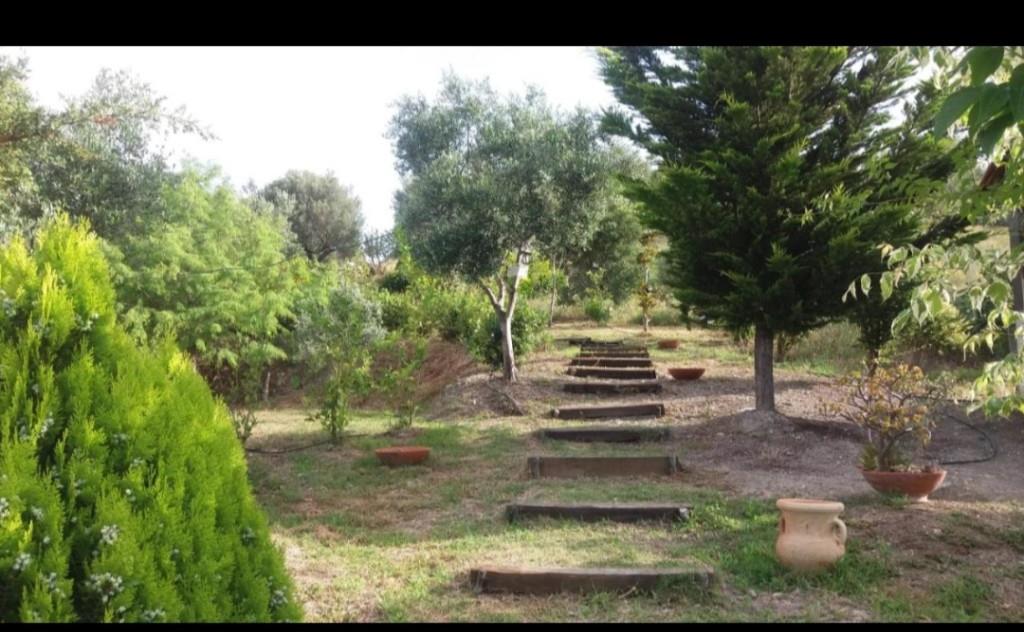 immagine annuncio 2 di 7