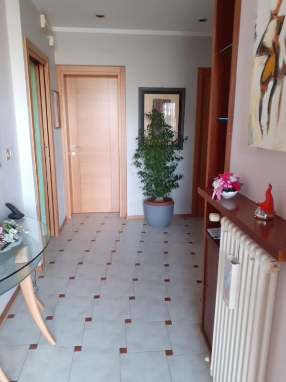 immagine annuncio 5 di 7