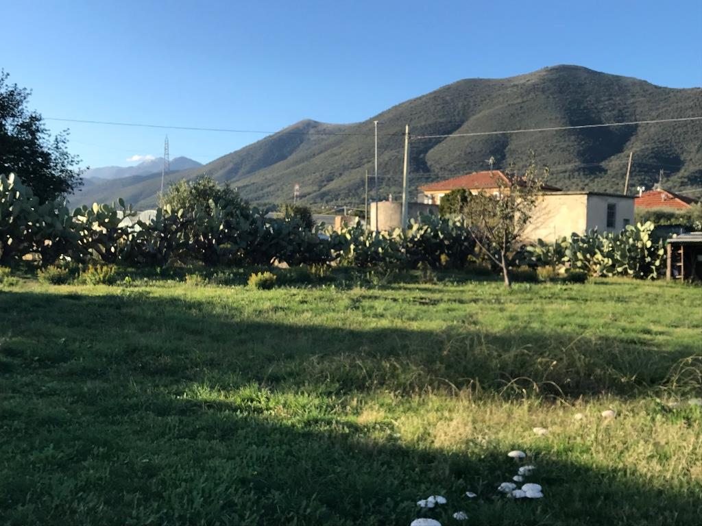immagine annuncio 6 di 7
