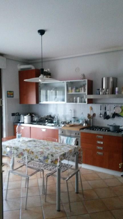 immagine annuncio 3 di 7