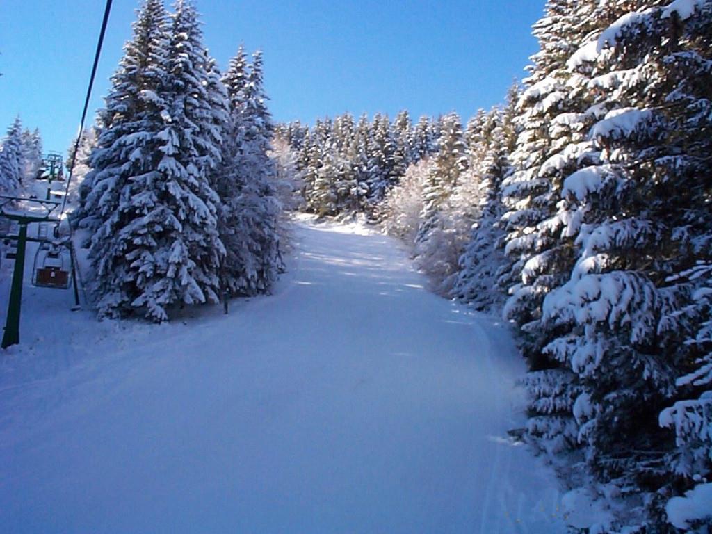 immagine annuncio 2 di 7