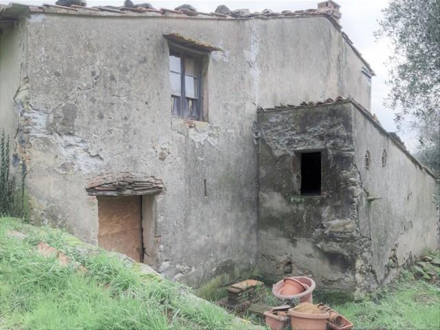 immagine annuncio 2 di 7