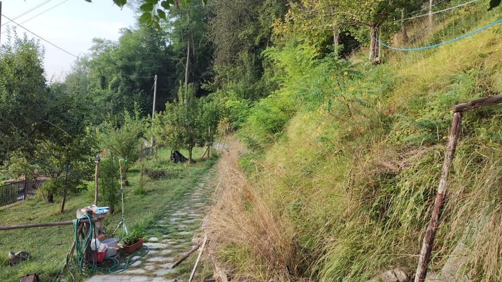 immagine annuncio 3 di 7