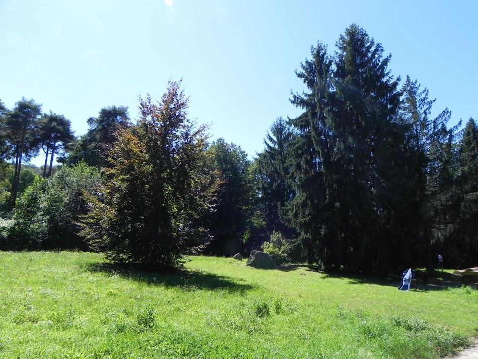 immagine annuncio 3 di 7