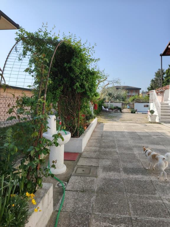 immagine annuncio 3 di 7