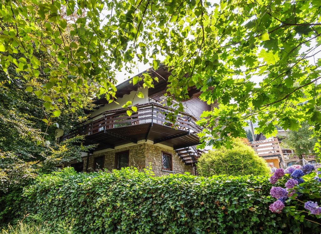 immagine annuncio 1 di 7