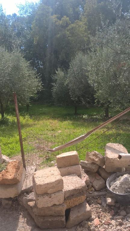 immagine annuncio 2 di 6