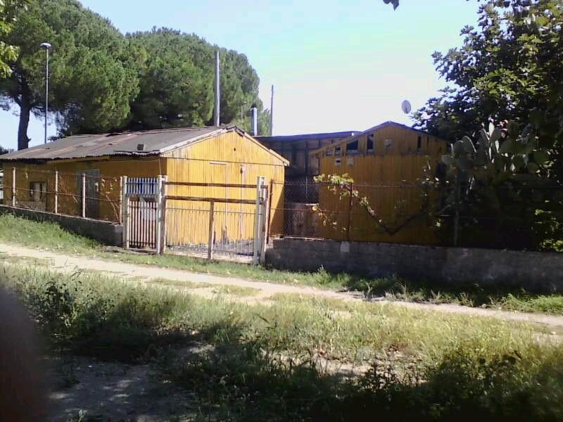immagine annuncio 1 di 3