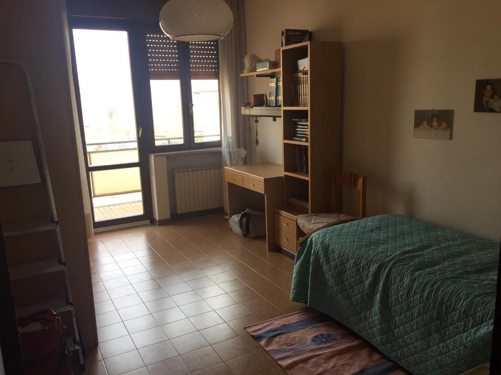 immagine annuncio 5 di 7