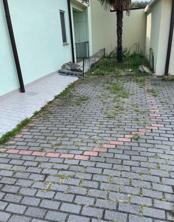 immagine annuncio 2 di 6