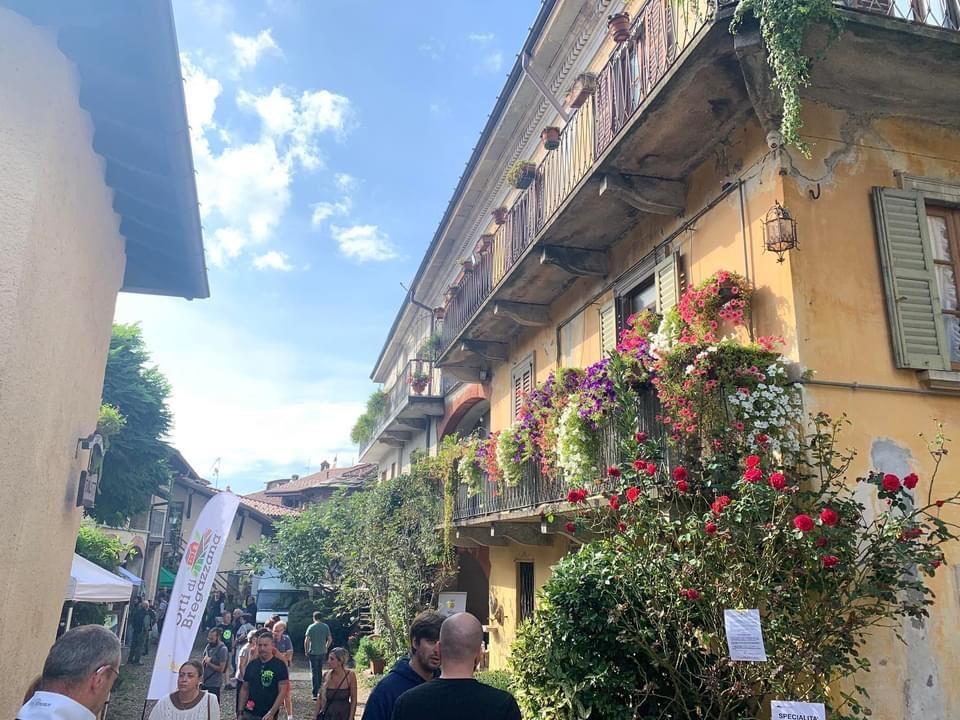 immagine annuncio 5 di 7