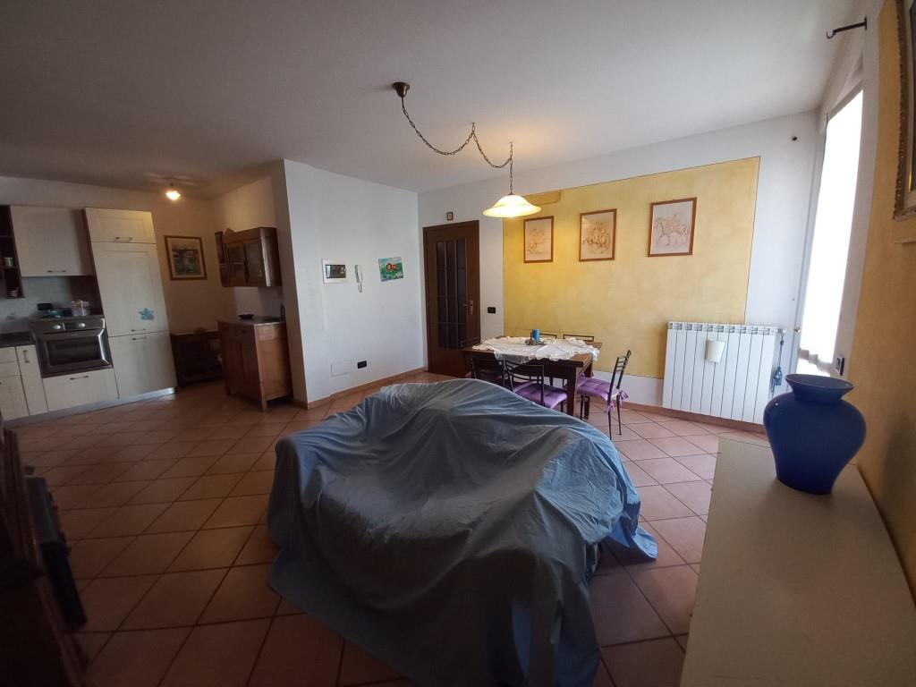 immagine annuncio 2 di 7
