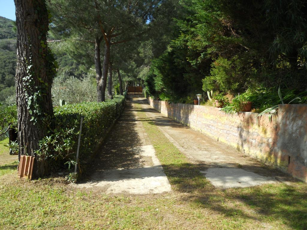 immagine annuncio 2 di 7