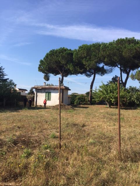 immagine annuncio 2 di 7