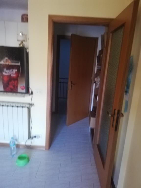immagine annuncio 5 di 7