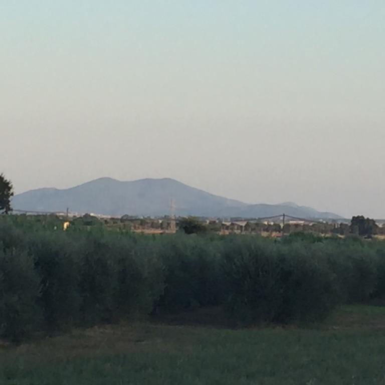 immagine annuncio 5 di 6