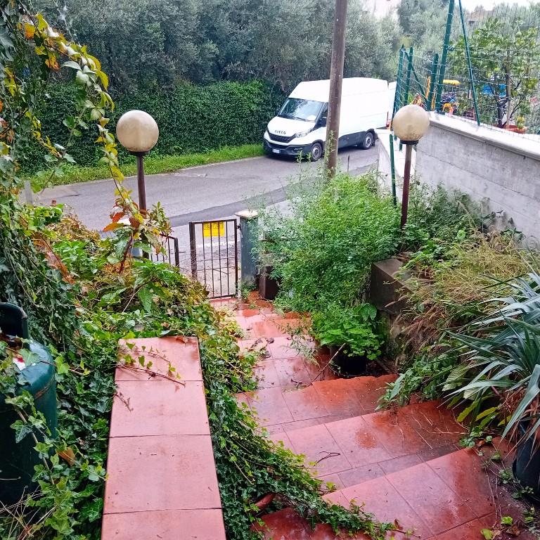 immagine annuncio 2 di 7