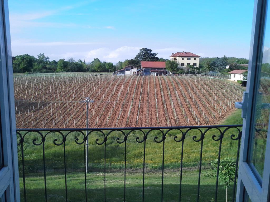immagine annuncio 4 di 7