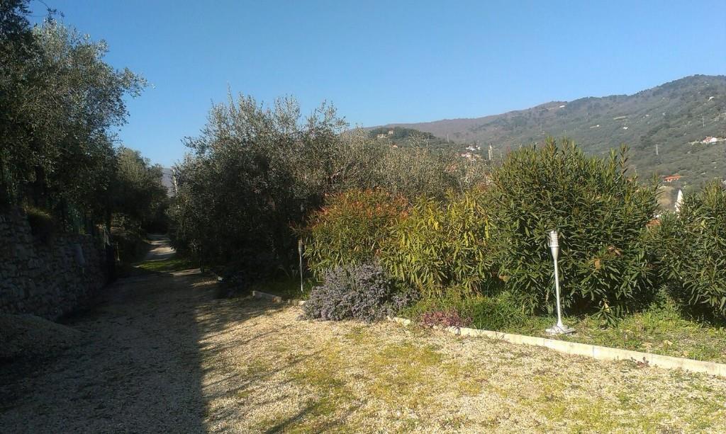 immagine annuncio 6 di 7