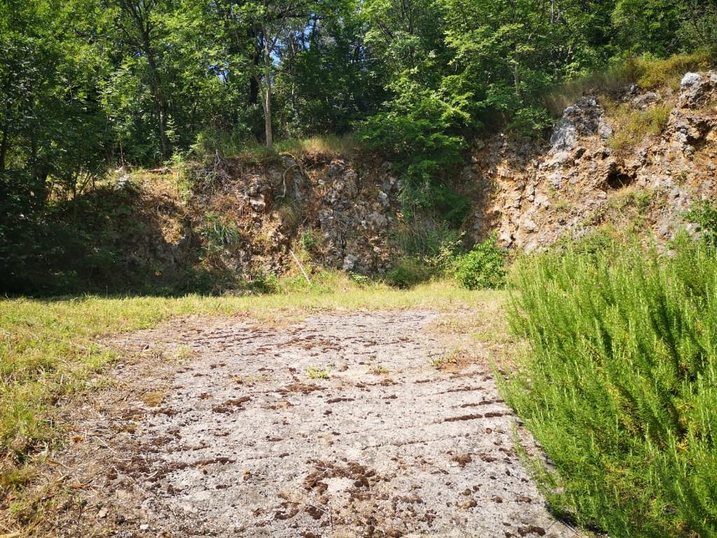 immagine annuncio 2 di 6