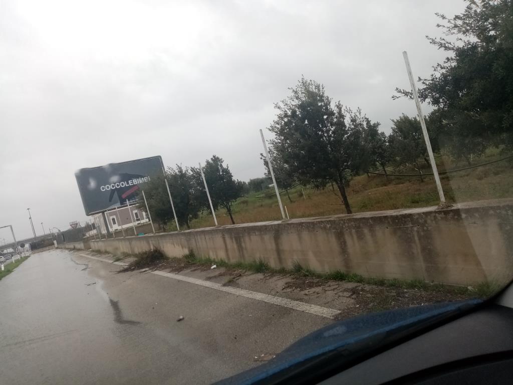 immagine annuncio 4 di 7