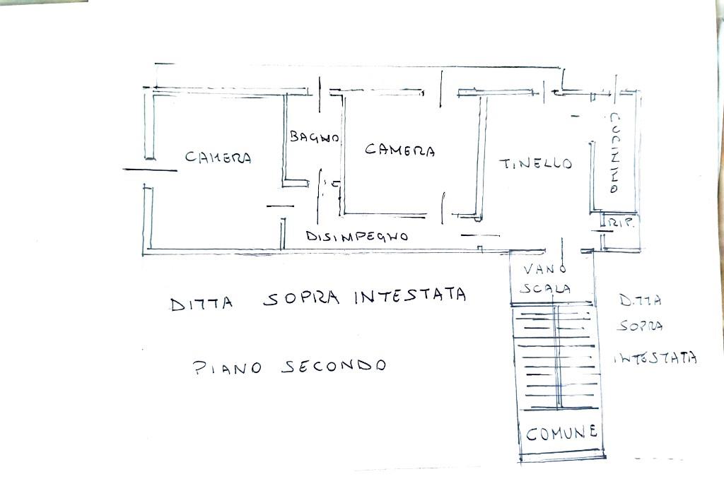 immagine annuncio 5 di 7