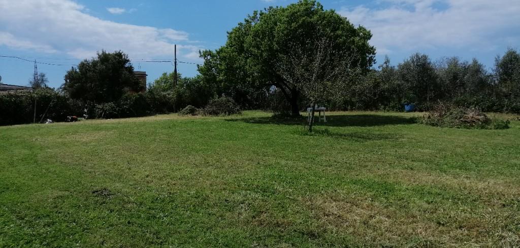 immagine annuncio 2 di 4