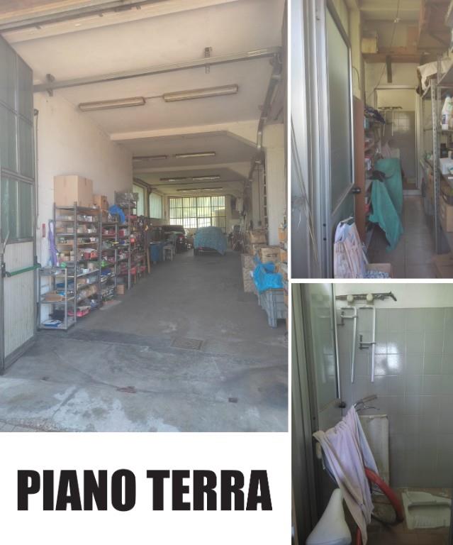 immagine annuncio 5 di 7