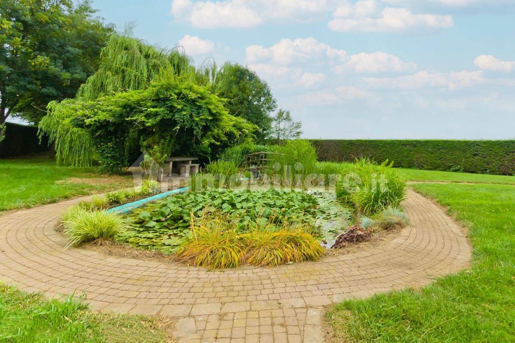 immagine annuncio 3 di 7