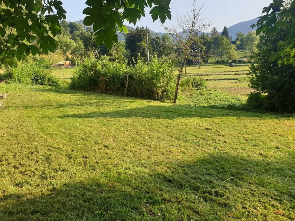 immagine annuncio 2 di 3