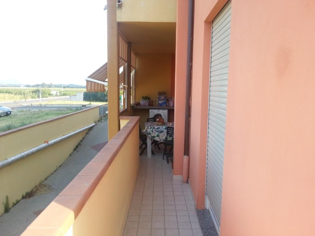 immagine annuncio 2 di 7
