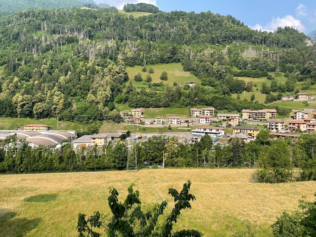 immagine annuncio 4 di 6