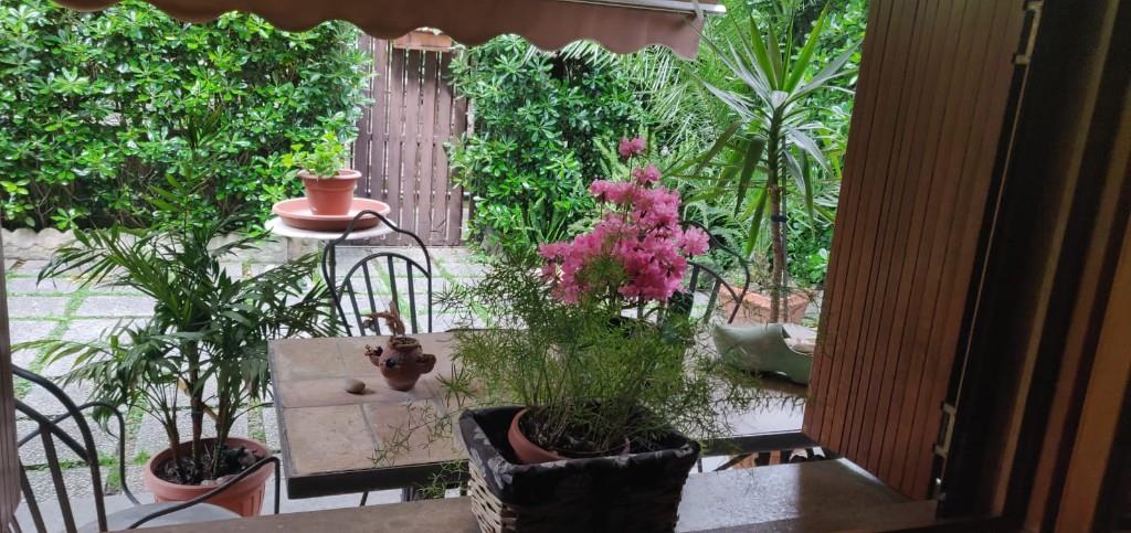 immagine annuncio 6 di 7