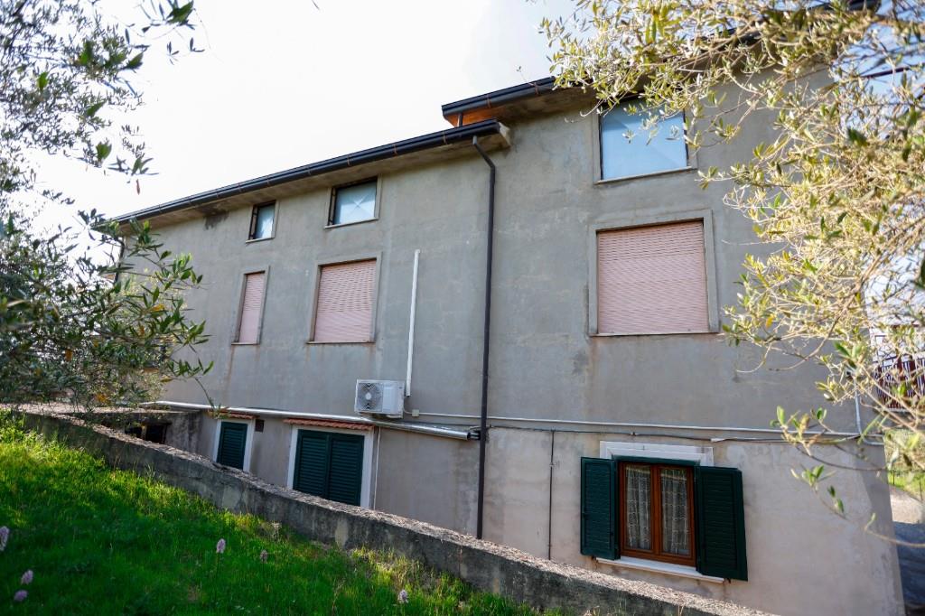 immagine annuncio 2 di 7