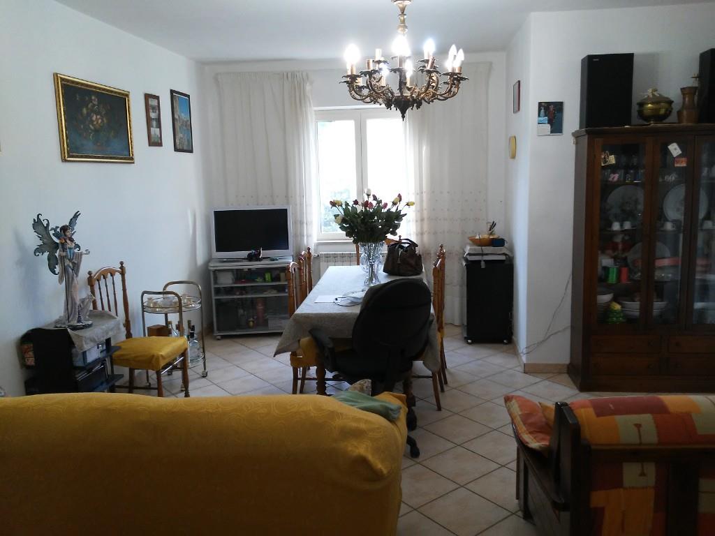 immagine annuncio 2 di 7