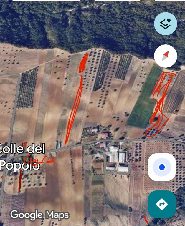 immagine annuncio 3 di 7