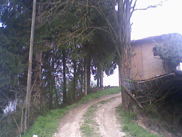 immagine annuncio 3 di 6