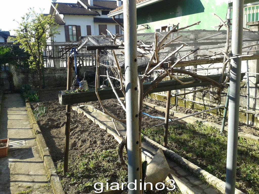 immagine annuncio 2 di 4