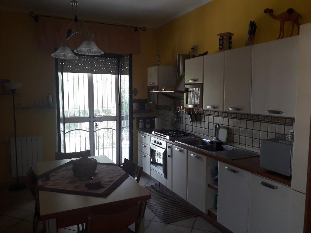 immagine annuncio 2 di 7