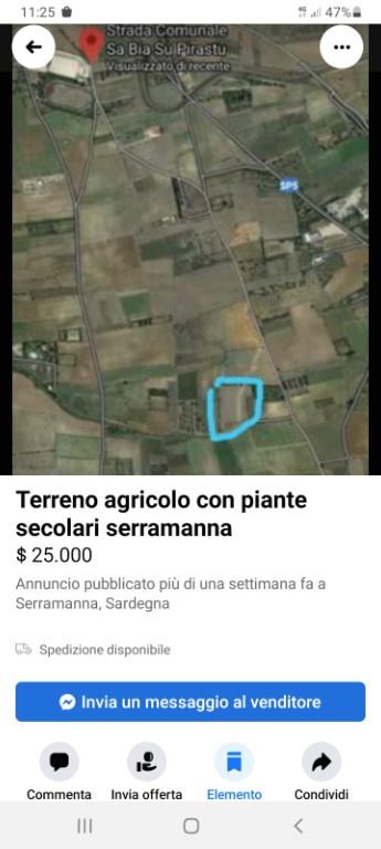 immagine annuncio 1 di 2