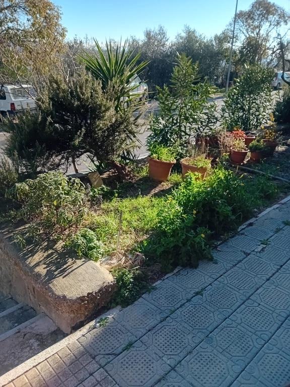 immagine annuncio 6 di 7