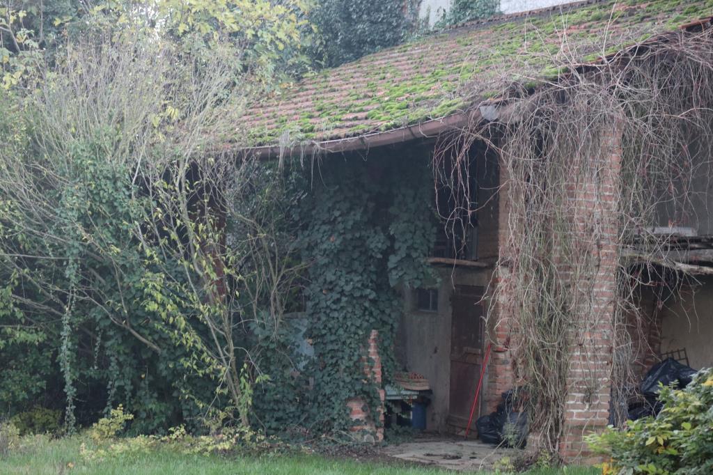 immagine annuncio 6 di 7