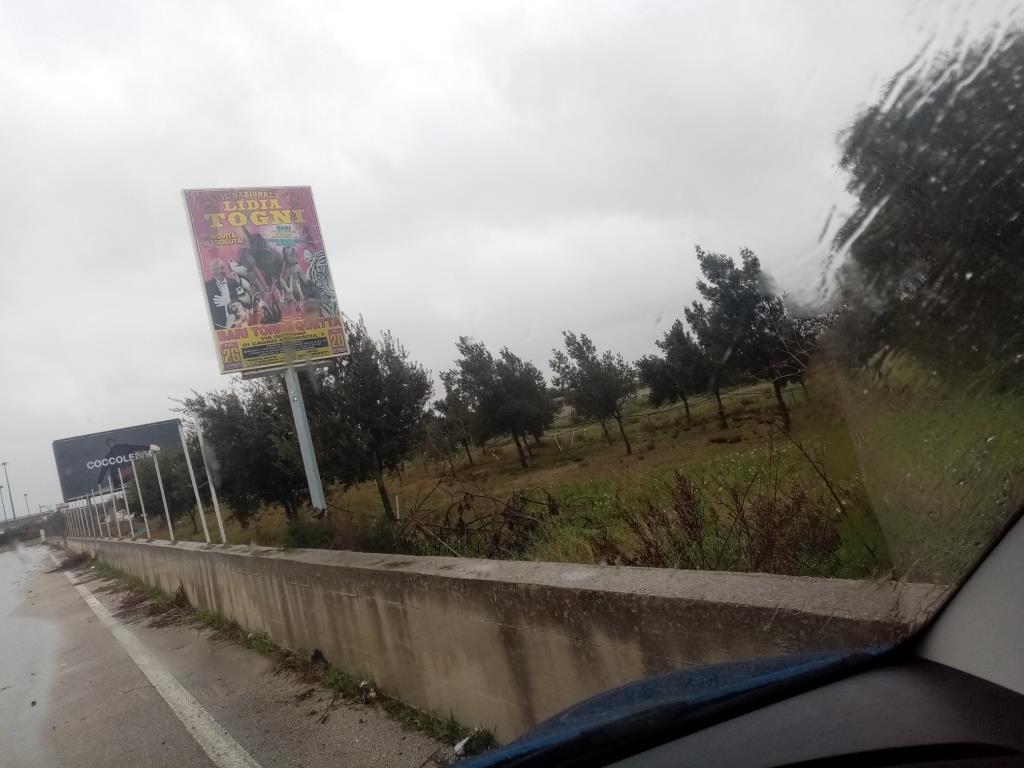 immagine annuncio 6 di 7